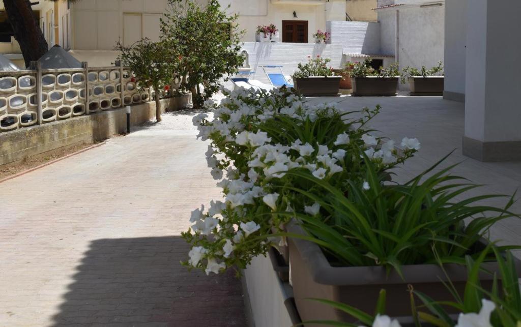 B&B Lastracu Castellammare del Golfo Kültér fotó