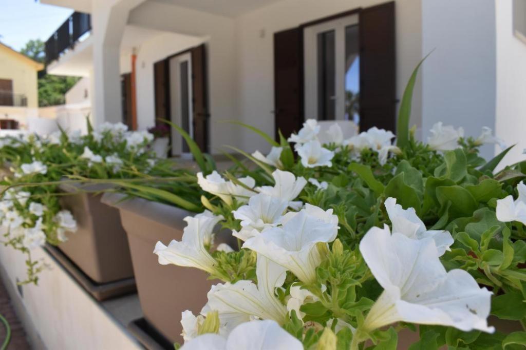 B&B Lastracu Castellammare del Golfo Kültér fotó