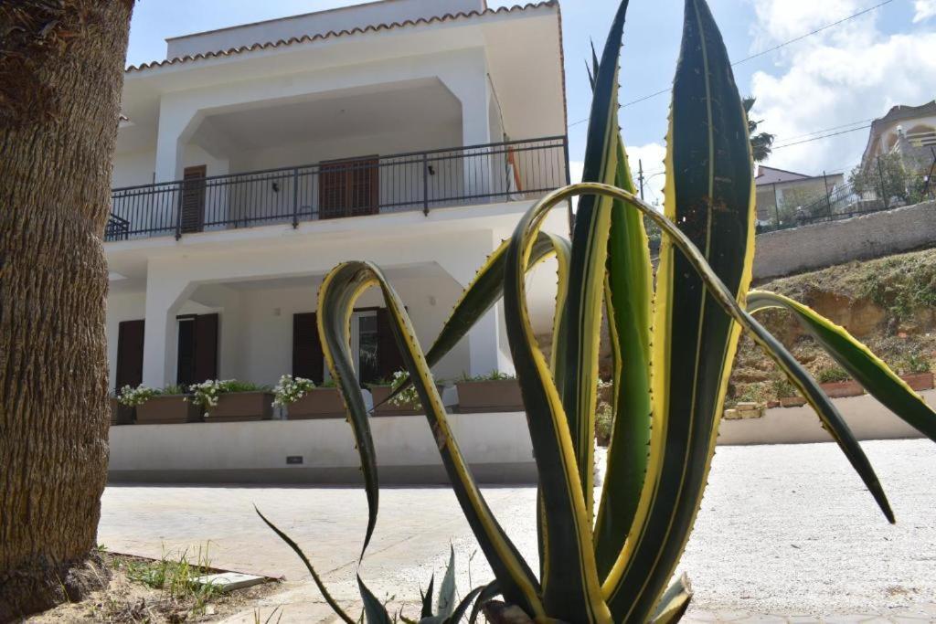 B&B Lastracu Castellammare del Golfo Kültér fotó